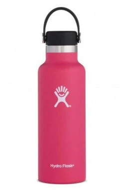 Hydro Flask 18 Oz Standard Mouth Bottles W/ Flex Cap (S18SX) -Run Style Shop 703c85662284dd639d61000c1ccb78f7433870a8 600x 6d307622 038e 41a6 a118 a278fe53c049