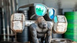 Goodr Sunglasses - OG Beast Collection (OG) -Run Style Shop Product 0009 Silverback 1000x d453092e adbf 4888 9597 575f8b234ba2