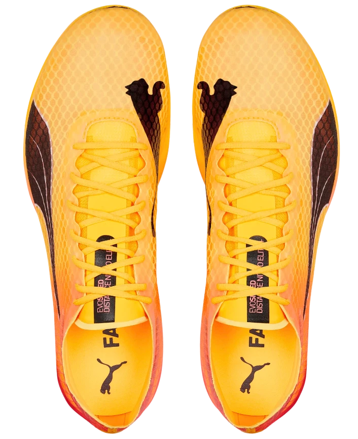 PUMA Unisex EvoSPEED Distance Nitro Elite+ 2 4 PUMA Unisex EvoSPEED Distance Nitro Elite+ 2 - Image 4