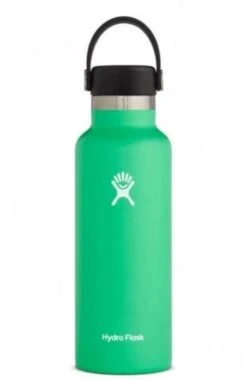 Hydro Flask 18 Oz Standard Mouth Bottles W/ Flex Cap (S18SX) -Run Style Shop s18sx2 spearmint
